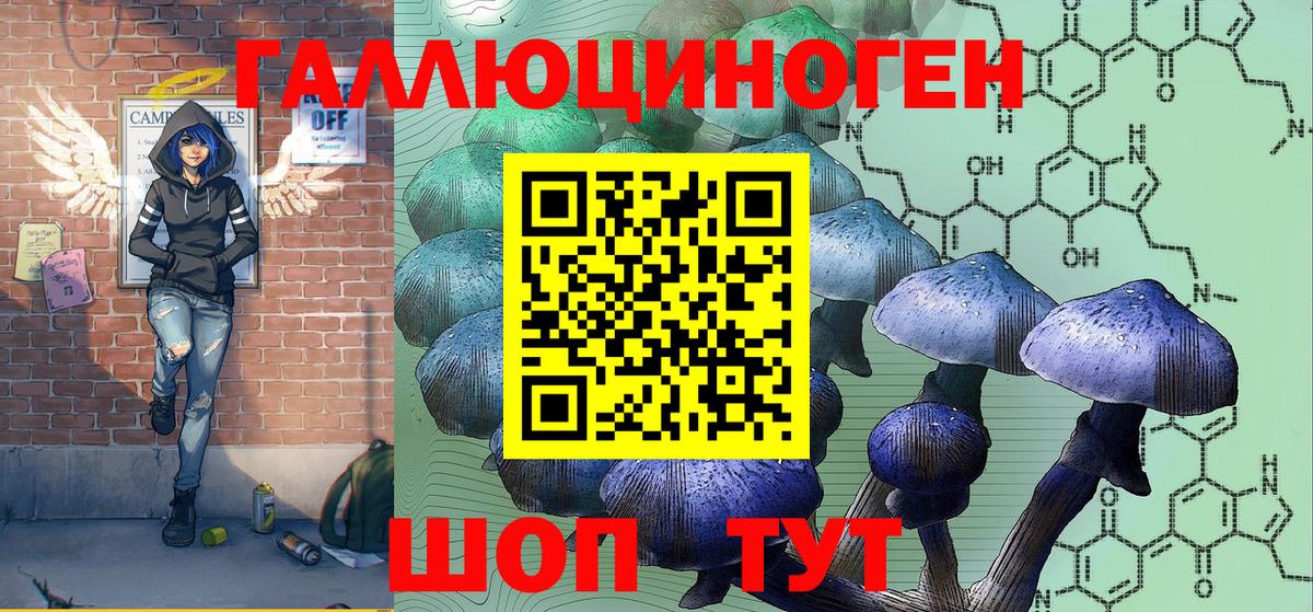 Псилоцибиновые грибы Psilocybe Узловая