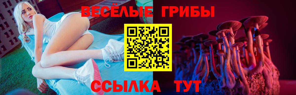 Псилоцибиновые грибы мухоморы  Вход с VPN  Галлюциногенные грибы мицелий  Узловая 